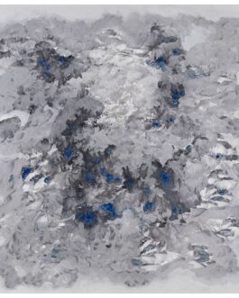 006 – Montagne innevate