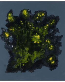 008 – Polpo radiogeno