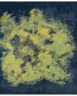 015 – La corsa del funanbulo