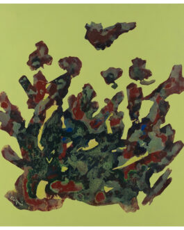 051- Corallo australiano