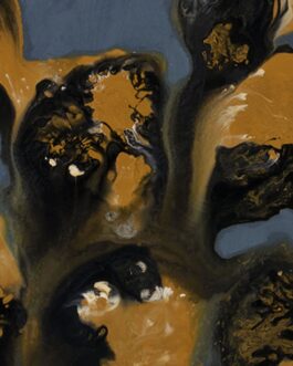 117 – La fluidità della creazione