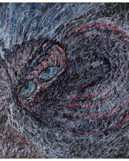 163 – L’occhio d’incanto