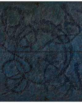 A_ 247-LA RIDDA DEI NUMERI