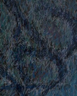 A_ 247-LA RIDDA DEI NUMERI