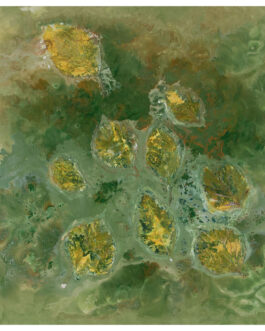 A_ 039 Tranquillità nello stagno