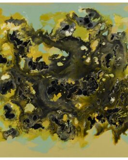 093 – Ciel coperto