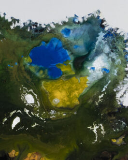 094 – Bosco delle fate